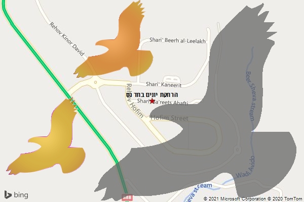 הרחקת יונים בחד נס
