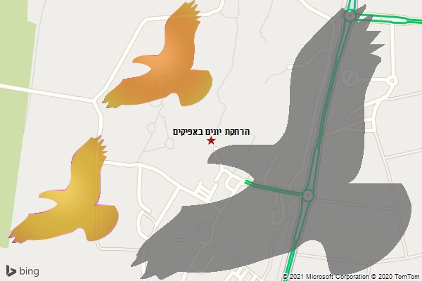 הרחקת יונים באפיקים