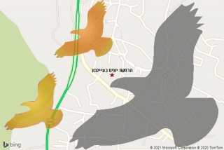מרחיק יונים בעיילבון - הרחקת יונים בעיילבון