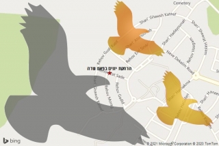 מרחיק יונים בפאת שדה - הרחקת יונים בפאת שדה