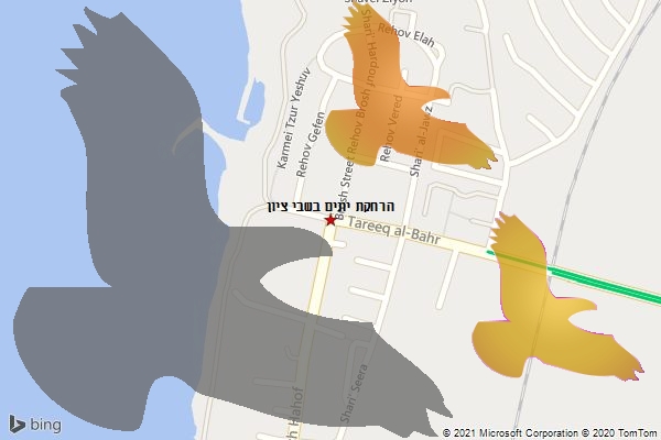 הרחקת יונים בשבי ציון
