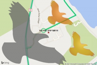  בנווה זוהר - הרחקת יונים בנווה זוהר