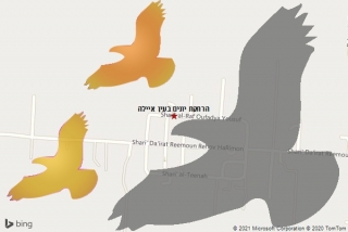 מרחיק יונים בעין איילה - הרחקת יונים בעין איילה