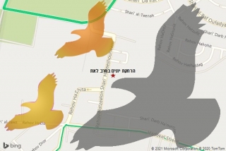 מרחיק יונים בחרב לאת - הרחקת יונים בחרב לאת
