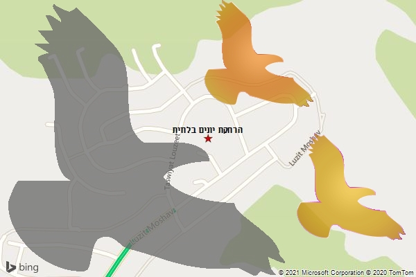 הרחקת יונים בלוזית