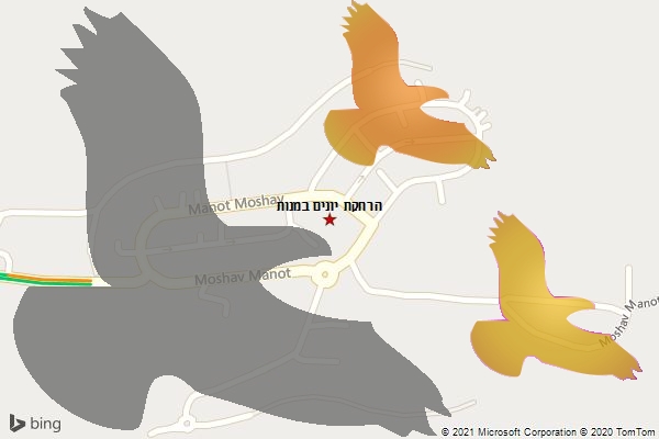 הרחקת יונים במנות