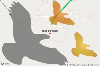 מרחיק יונים בתובל - הרחקת יונים בתובל