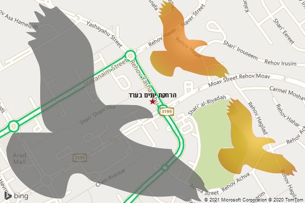 הרחקת יונים בערד