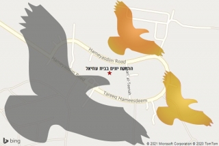 מרחיק יונים בבית עוזיאל - הרחקת יונים בבית עוזיאל