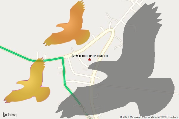 הרחקת יונים בשדה אילן