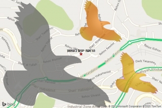 מרחיק יונים בעצמון - הרחקת יונים בעצמון