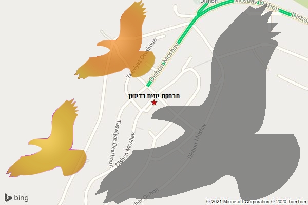 הרחקת יונים בדישון