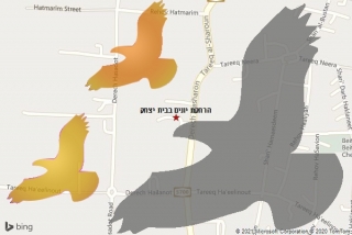 מרחיק יונים בבית יצחק - הרחקת יונים בבית יצחק