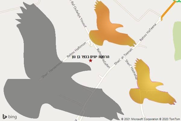 הרחקת יונים בכפר בן נון