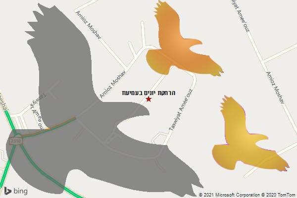 הרחקת יונים בעמיעוז