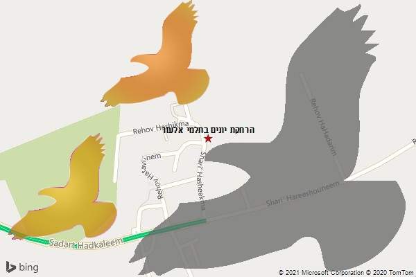 הרחקת יונים בתלמי אלעזר