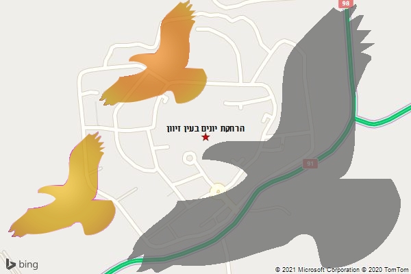 הרחקת יונים בעין זיוון