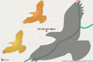 מרחיק יונים בעין זיוון - הרחקת יונים בעין זיוון