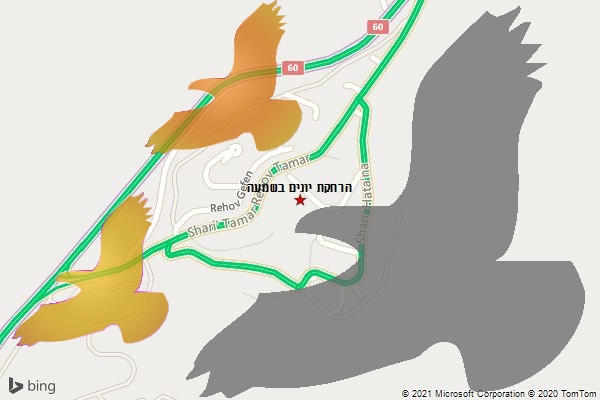 הרחקת יונים בשמעה