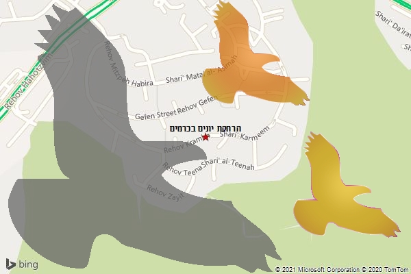 הרחקת יונים בכרמים