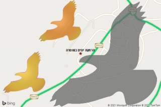 מרחיק יונים בשומרה - הרחקת יונים בשומרה