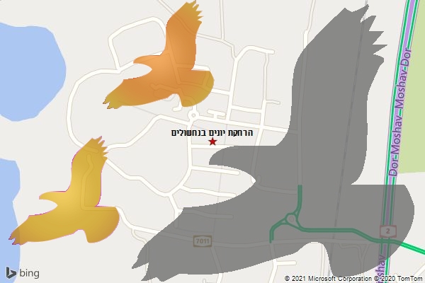 הרחקת יונים בנחשולים