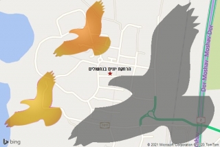 מרחיק יונים בנחשולים - הרחקת יונים בנחשולים
