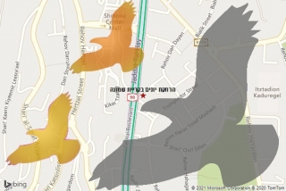 מרחיק יונים בקריית שמונה - הרחקת יונים בקריית שמונה