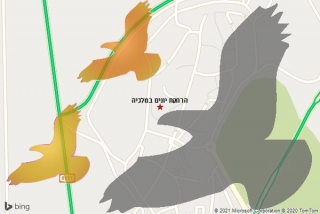 מרחיק יונים במלכיה - הרחקת יונים במלכיה