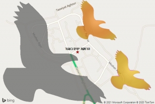 מרחיק יונים בעגור - הרחקת יונים בעגור