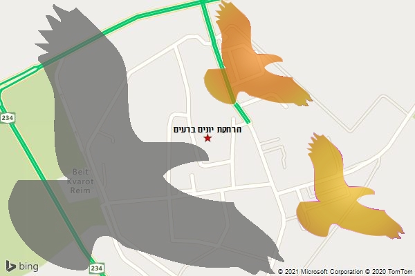 הרחקת יונים ברעים