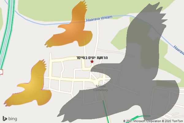 הרחקת יונים במייסר