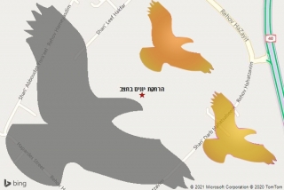 מרחיק יונים בחצב - הרחקת יונים בחצב