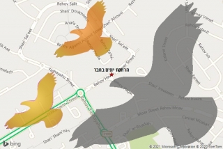 מרחיק יונים בחבר - הרחקת יונים בחבר