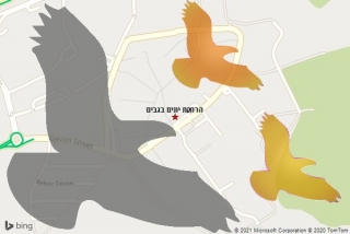 מרחיק יונים בגבים - הרחקת יונים בגבים