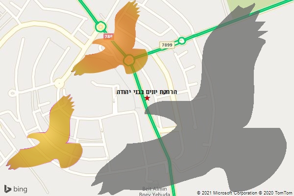 הרחקת יונים בבני יהודה