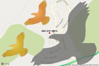 מרחיק יונים במטע - הרחקת יונים במטע