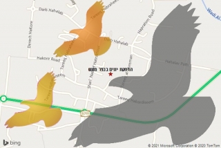 מרחיק יונים בכפר מונש - הרחקת יונים בכפר מונש