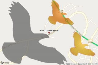 מרחיק יונים בגבעולים - הרחקת יונים בגבעולים