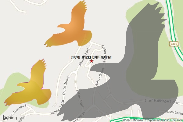 הרחקת יונים בנצרת עילית