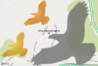 מרחיק יונים בנצרת עילית - הרחקת יונים בנצרת עילית