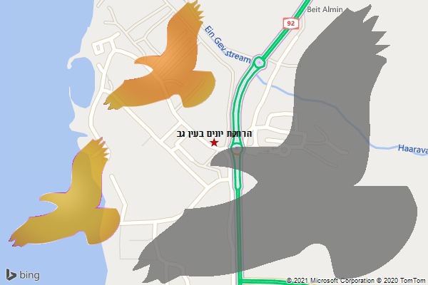 הרחקת יונים בעין גב