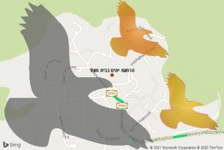 מרחיק יונים בבית מאיר - הרחקת יונים בבית מאיר