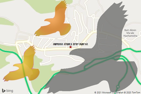 הרחקת יונים במעלה החמישה