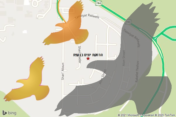 הרחקת יונים ברקפת