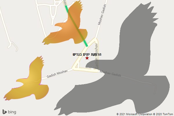 הרחקת יונים בגדיש