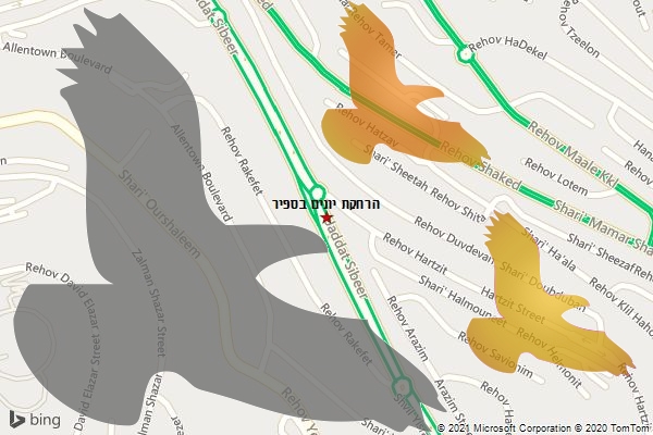 הרחקת יונים בספיר