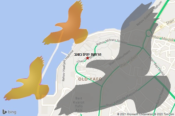 הרחקת יונים בשגב