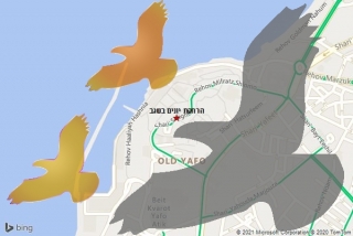  בשגב - הרחקת יונים בשגב