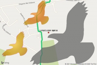 מרחיק יונים בדגניה ב - הרחקת יונים בדגניה ב